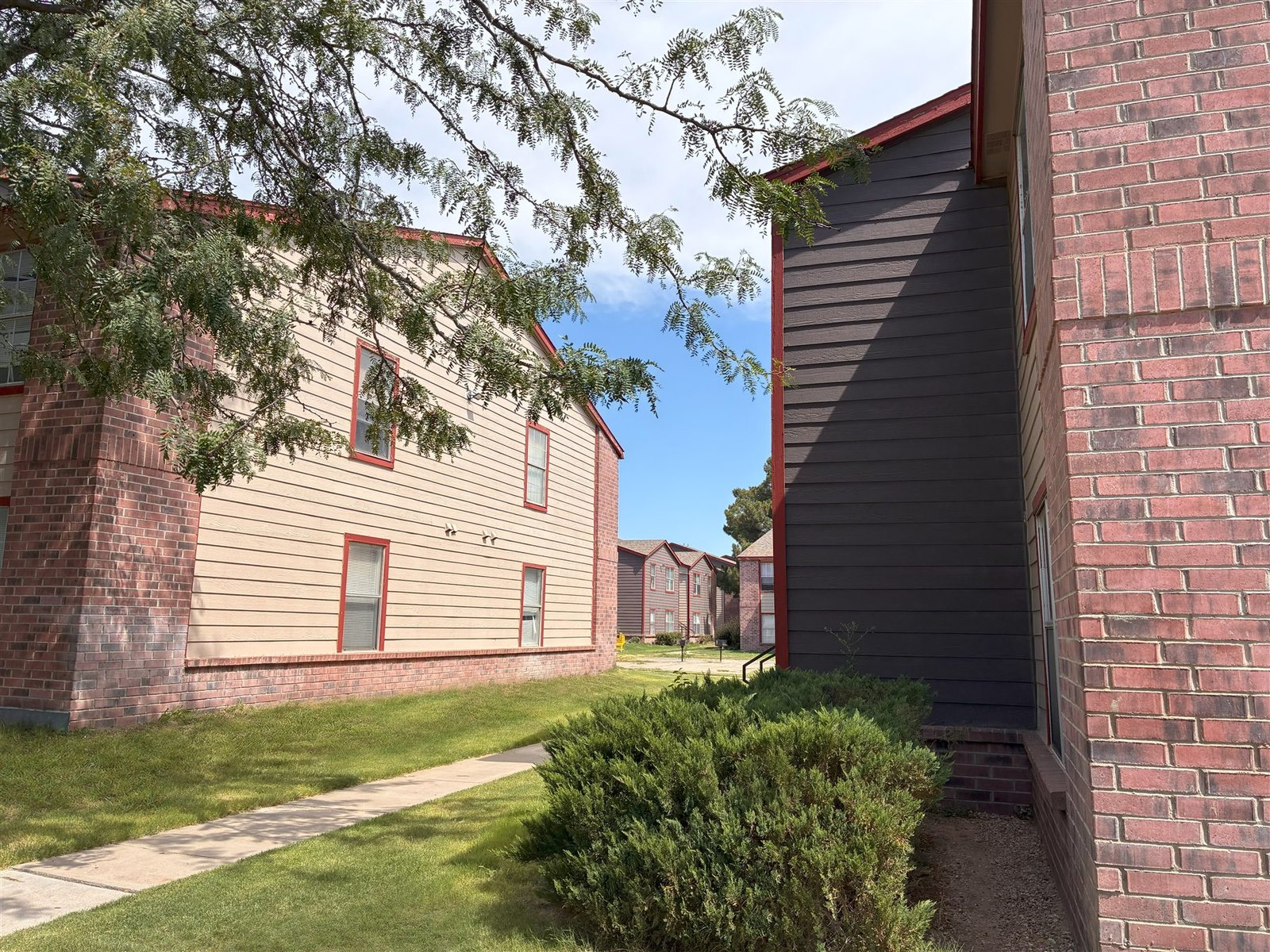 Tree-lined apartment homes at Avalon Cove